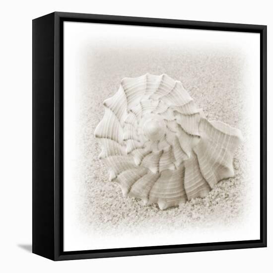 In the Sand I-Jim Christensen-Framed Stretched Canvas