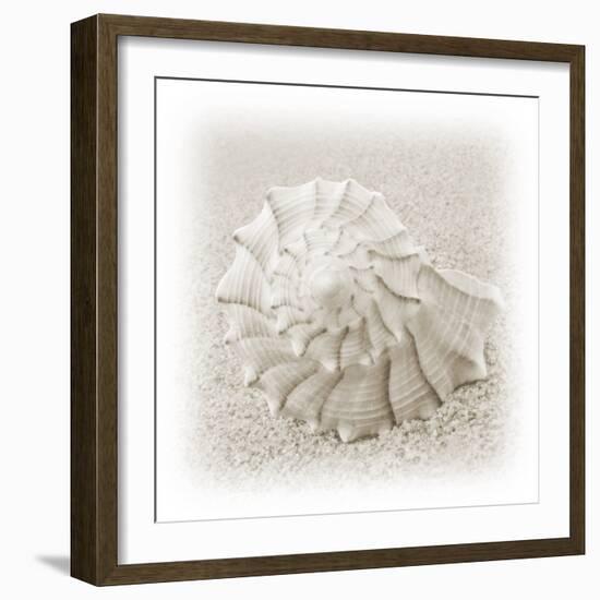 In the Sand I-Jim Christensen-Framed Photographic Print