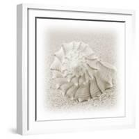 In the Sand I-Jim Christensen-Framed Photographic Print