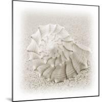 In the Sand I-Jim Christensen-Mounted Photographic Print