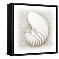 In the Sand III-Jim Christensen-Framed Stretched Canvas