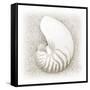 In the Sand III-Jim Christensen-Framed Stretched Canvas