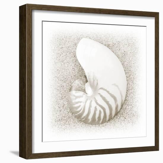 In the Sand III-Jim Christensen-Framed Photographic Print