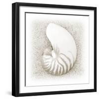 In the Sand III-Jim Christensen-Framed Photographic Print