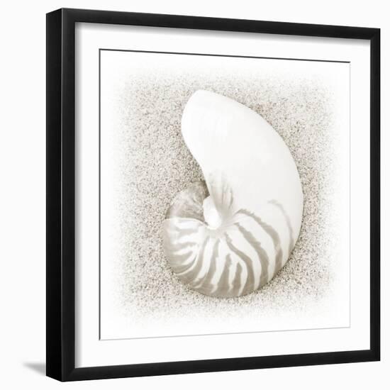 In the Sand III-Jim Christensen-Framed Photographic Print