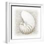 In the Sand III-Jim Christensen-Framed Photographic Print