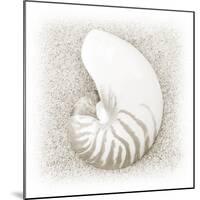 In the Sand III-Jim Christensen-Mounted Photographic Print