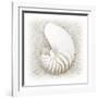 In the Sand III-Jim Christensen-Framed Photographic Print