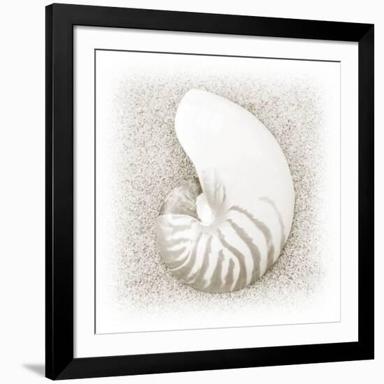 In the Sand III-Jim Christensen-Framed Photographic Print