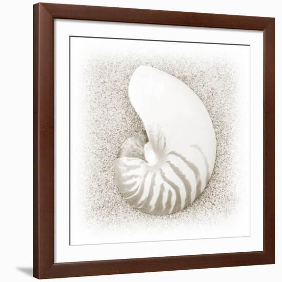 In the Sand III-Jim Christensen-Framed Photographic Print