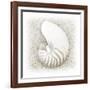 In the Sand III-Jim Christensen-Framed Photographic Print