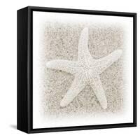 In the Sand V-Jim Christensen-Framed Stretched Canvas