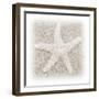 In the Sand V-Jim Christensen-Framed Premium Photographic Print