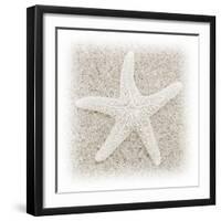 In the Sand V-Jim Christensen-Framed Premium Photographic Print