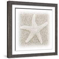 In the Sand V-Jim Christensen-Framed Photographic Print