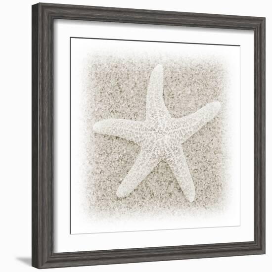 In the Sand V-Jim Christensen-Framed Photographic Print