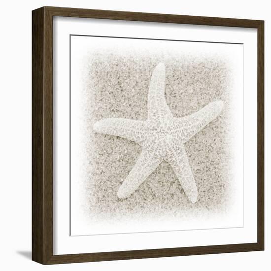 In the Sand V-Jim Christensen-Framed Photographic Print