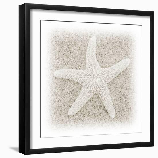 In the Sand V-Jim Christensen-Framed Photographic Print