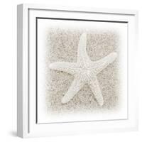 In the Sand V-Jim Christensen-Framed Photographic Print