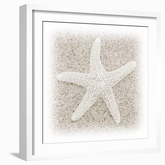 In the Sand V-Jim Christensen-Framed Photographic Print