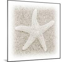 In the Sand V-Jim Christensen-Mounted Photographic Print