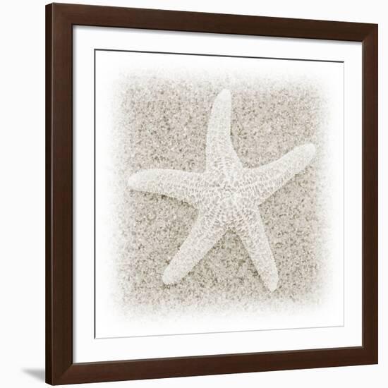 In the Sand V-Jim Christensen-Framed Photographic Print