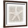 In the Sand V-Jim Christensen-Framed Photographic Print