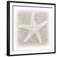 In the Sand V-Jim Christensen-Framed Photographic Print