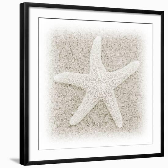 In the Sand V-Jim Christensen-Framed Photographic Print