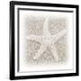 In the Sand V-Jim Christensen-Framed Photographic Print