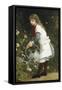 In the Secret Garden-Gustave Doyen-Framed Stretched Canvas