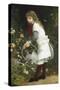 In the Secret Garden-Gustave Doyen-Stretched Canvas