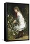 In the Secret Garden-Gustave Doyen-Framed Stretched Canvas