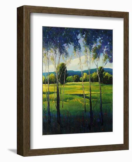 In the Shade-Tim O'toole-Framed Giclee Print