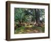 In the Shade-Mark Fisher-Framed Giclee Print