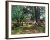 In the Shade-Mark Fisher-Framed Giclee Print