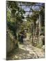 In the Shadow of an Italian Pergola, A Warm Afternoon in Anacapri-Peder Mork Monsted-Mounted Giclee Print