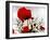 In the Shadow of the Poppies-Magda Indigo-Framed Photographic Print