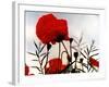 In the Shadow of the Poppies-Magda Indigo-Framed Photographic Print