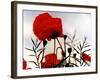 In the Shadow of the Poppies-Magda Indigo-Framed Photographic Print