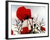In the Shadow of the Poppies-Magda Indigo-Framed Photographic Print