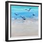 In the Shallows 2-Craig Trewin Penny-Framed Art Print