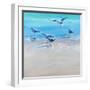 In the Shallows 2-Craig Trewin Penny-Framed Art Print