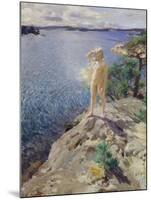 In the Skerries-Anders Zorn-Mounted Giclee Print