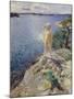 In the Skerries-Anders Zorn-Mounted Giclee Print