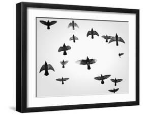 In the Skies I-Martin Henson-Framed Art Print