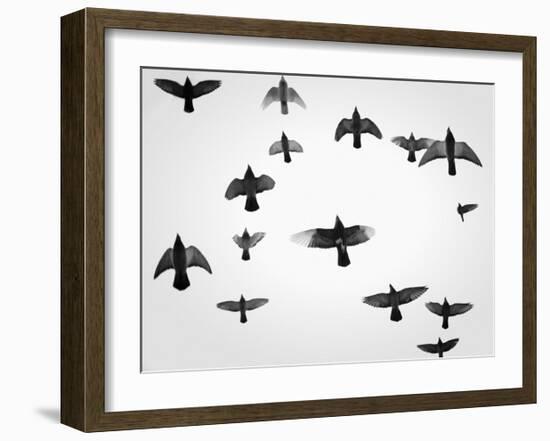 In the Skies I-Martin Henson-Framed Art Print