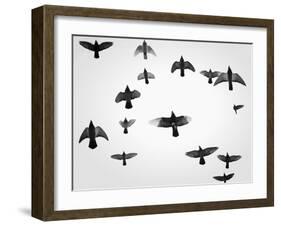 In the Skies I-Martin Henson-Framed Art Print