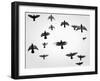 In the Skies I-Martin Henson-Framed Photographic Print