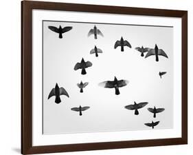 In the Skies I-Martin Henson-Framed Photographic Print